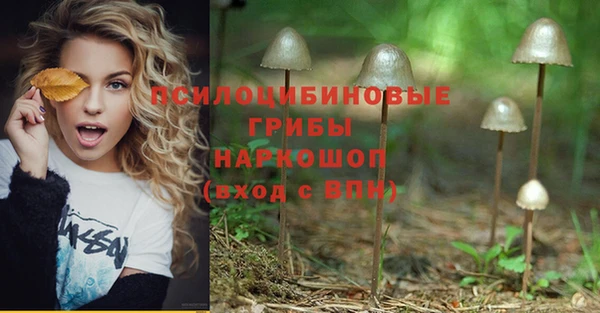 кокс Ладушкин