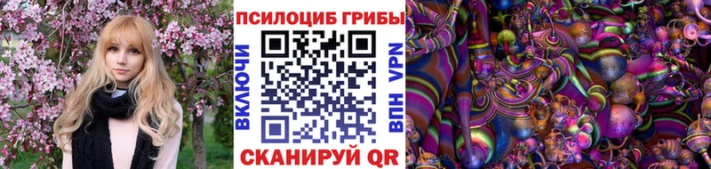 Галлюциногенные грибы Cubensis  Купить закладки  Усть-Илимск 